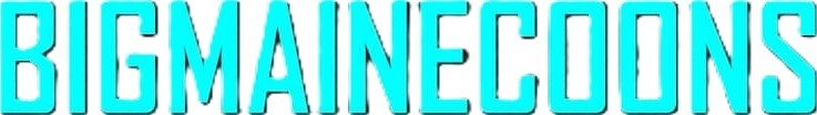 WhatsApp Image 2024-07-11 at 10.23.11_f1f31c51